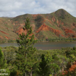 Rivière des Pirogues