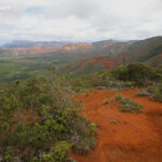 Maquis minier dans le grand sud