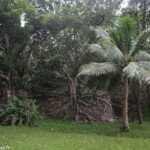 Bagnan dans le Village de Prony