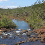 Maquis minier dans le grand sud