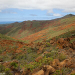 Maquis minier dans le grand sud