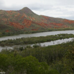 Estuaire dans le grand sud