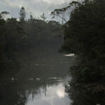 Parc Provincial de la Rivière bleue