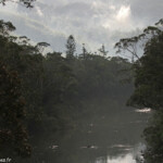 Parc Provincial de la Rivière bleue