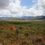 Lac de Yaté, Parc provincial de la Rivière bleue