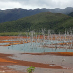 Forêt noyée, Parc provincial de la Rivière bleue