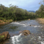 Parc provincial de la Rivière bleue