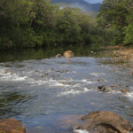 Parc provincial de la Rivière bleue