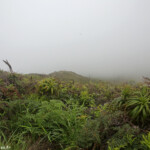 La brume au sommet du Pic Malaoui