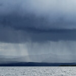 Grain sur la Grande Terrre