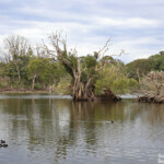 Centennial Parklands Sydney