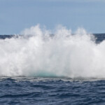 ça c'est un splash !