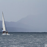 Whalewatching en Nouvelle-Calédonie