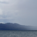 Grain sur la Grande Terre