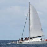 Whalewatching en Nouvelle-Calédonie