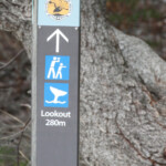 Pour voir les baleines, suivez la flèche, Royal National Park