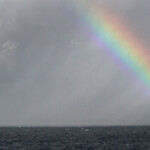 Rainbow, Royal National Park