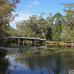 Pont sur la Hacking river à Audley, Royal National Park