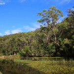 Lady Carrington Drive, Royal National Park