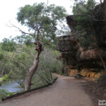 Lady Carrington Drive, Royal National Park