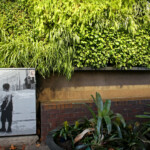 Jardins urbains, Sydney