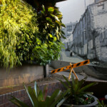 Jardins urbains, Sydney