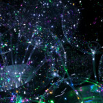 How many light bulbs does it take to change a person ?