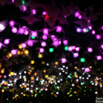 Origami, Vivid, Sydney