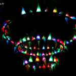 Oiseaux de lumière, Vivid, Sydney