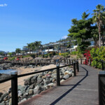 Balade à Airlie Beach