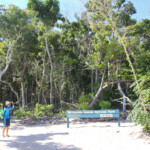 Parc national des Whitsunday Islands