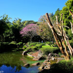 Jardin botanique de Brisbane