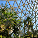 Jardin botanique de Brisbane