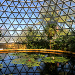 Jardin botanique de Brisbane