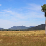 Paysages du Queensland