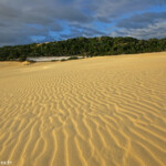 Dune, Fraser Island