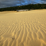Dune, Fraser Island