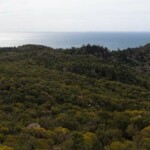 Panorama depuis le sentier des 3 forts