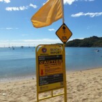 Attention aux méduses