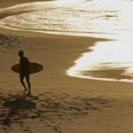 Retour du surf sur la plage de Noosa