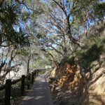 Noosa, Coastel walk