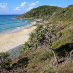 Noosa, Coastel walk