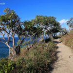 Noosa, Coastel walk