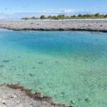 Piscine naturelle sur Tikehau