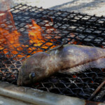 Préparation du repas, loche grillée