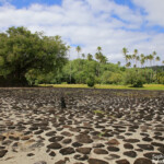 Marae sacré de Taputapuatea