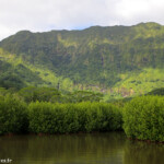 Balade autour de Raiatea