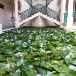 Uturua, ville principale de Raiatea