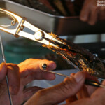 Culture de la perle de Tahiti