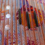 Culture de la perle de Tahiti